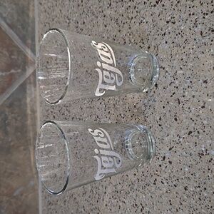 Tejas Pint Glasses 16oz